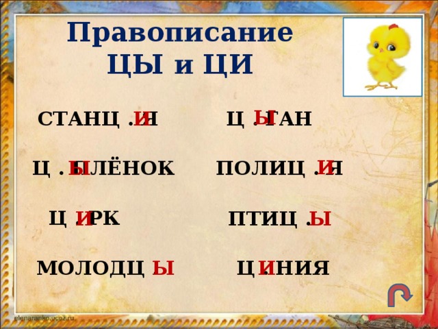 Правописание ЦЫ и ЦИ Ы И СТАНЦ . Я Ц . ГАН И Ц . ПЛЁНОК Ы ПОЛИЦ . Я Ц . РК Ы И ПТИЦ .  Ц . НИЯ Ы И МОЛОДЦ .