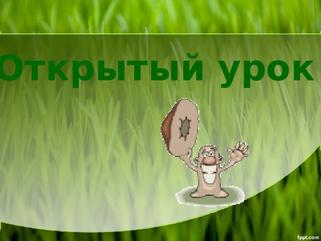 Открытый урок 