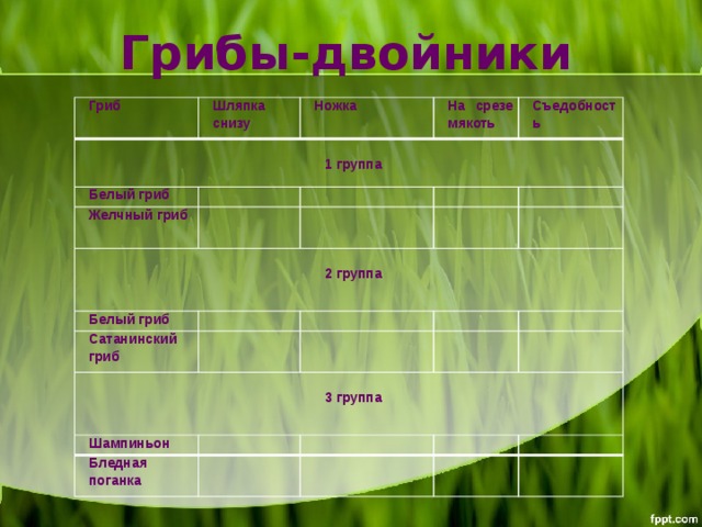 Грибы-двойники Гриб  Шляпка снизу 1 группа Белый гриб Ножка На срезе мякоть    Желчный гриб Съедобность            2 группа Белый гриб     Сатанинский гриб            Шампиньон     3 группа   Бледная поганка                     