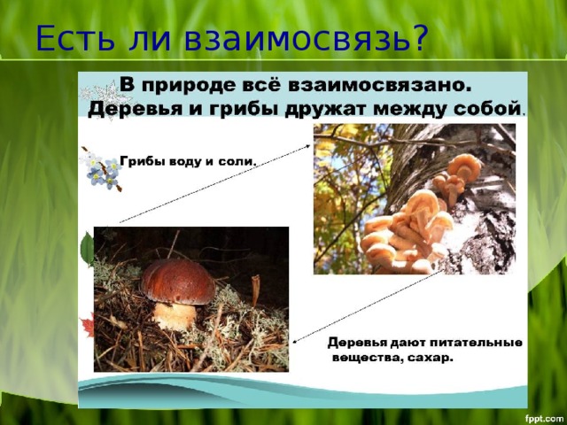 Есть ли взаимосвязь? 