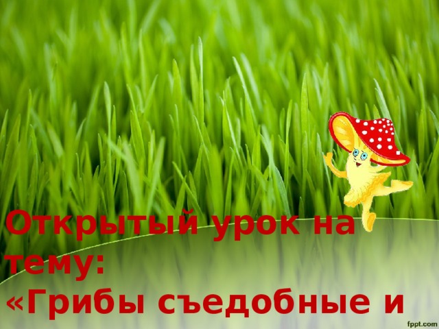 Открытый урок на тему:  «Грибы съедобные и ядовитые».   