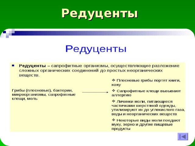 Редуценты 