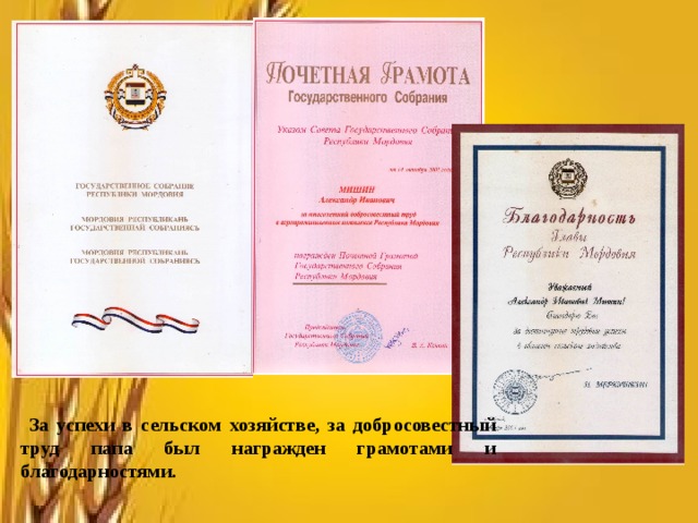               За успехи в сельском хозяйстве, за добросовестный труд папа был награжден грамотами и благодарностями. 