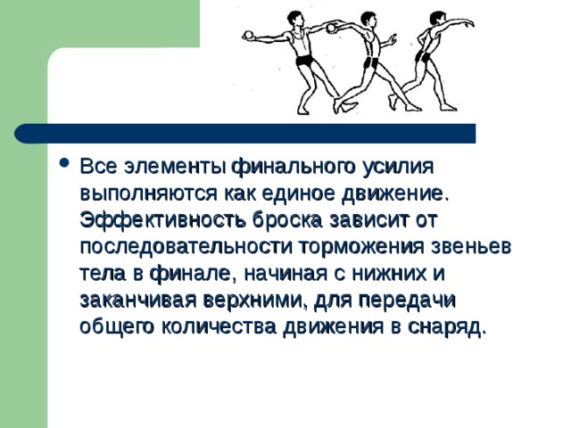 Соревнования по метанию мяча проводятся в специально размеченном коридоре шириной