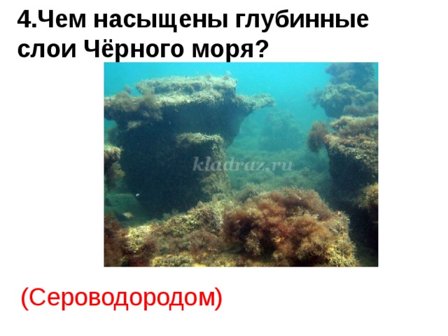 Сероводород в черном море