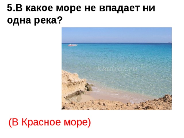 Море не впадает ни одна река