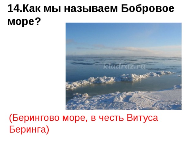 14.Как мы называем Бобровое море? (Берингово море, в честь Витуса Беринга) 