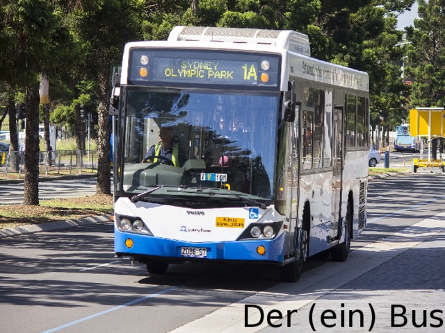 Der (ein) Bus 