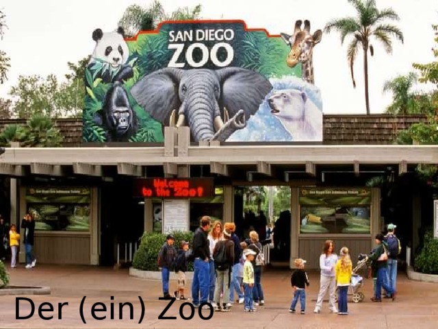 Der (ein) Zoo 