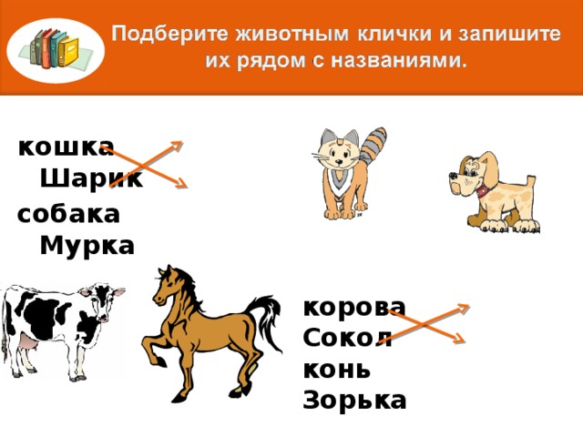 кошка  Шарик собака  Мурка корова Сокол конь Зорька  