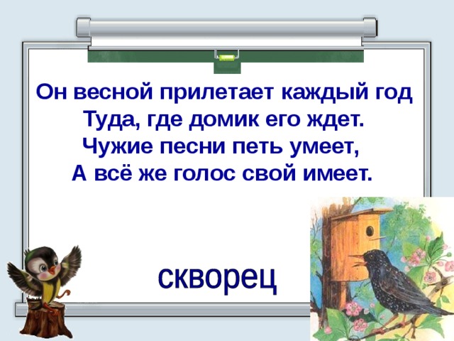 Он весной прилетает каждый год  Туда, где домик его ждет.  Чужие песни петь умеет, А всё же голос свой имеет.  