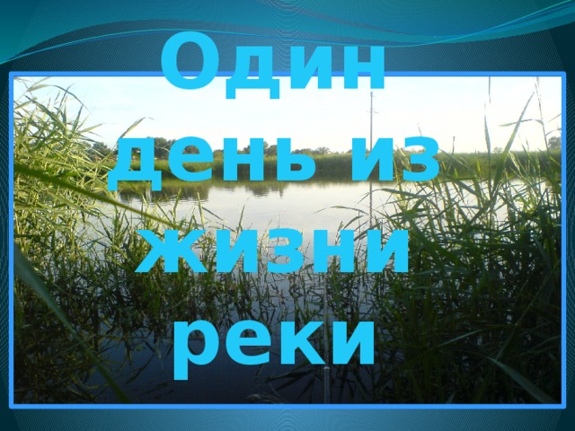 Один день из жизни реки 