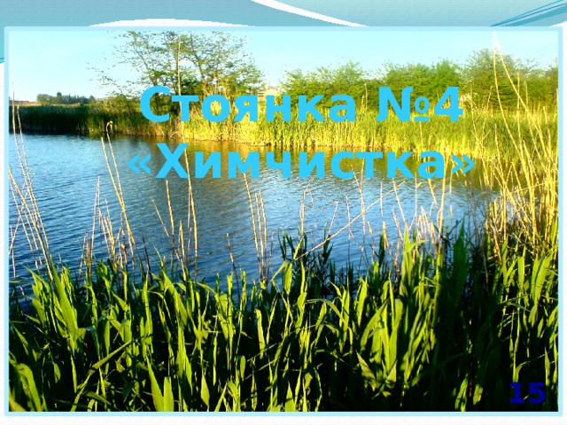 Стоянка №4 «Химчистка» 15 