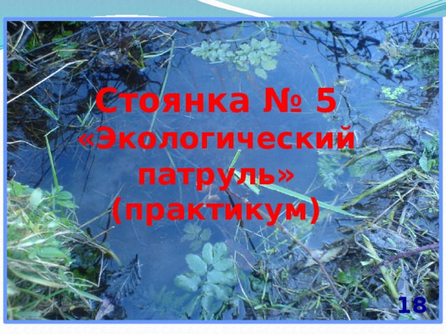 Стоянка № 5 «Экологический патруль» (практикум) 18 