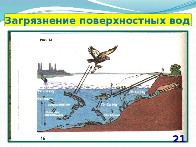 Загрязнение поверхностных вод 21 