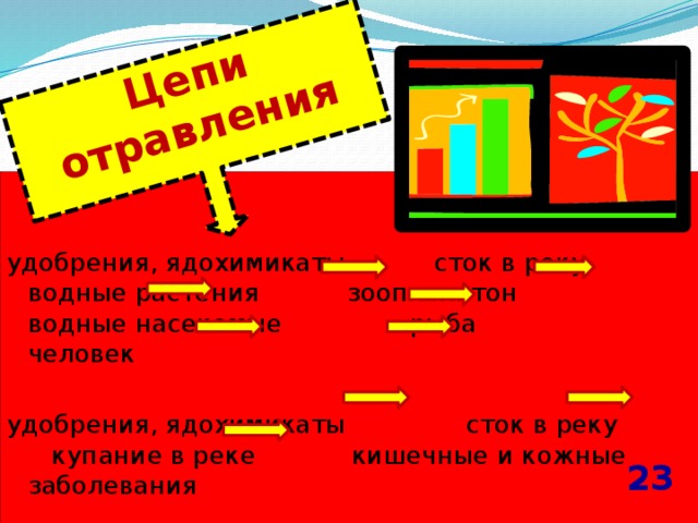 Цепи отравления удобрения, ядохимикаты сток в реку водные растения зоопланктон водные насекомые рыба человек удобрения, ядохимикаты сток в реку купание в реке кишечные и кожные заболевания 23 