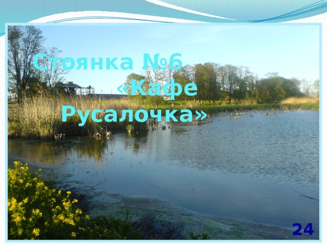 Стоянка №6 «Кафе Русалочка» 24 