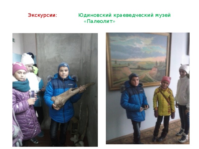 Экскурсии: Юдиновский краеведческий музей «Палеолит»   