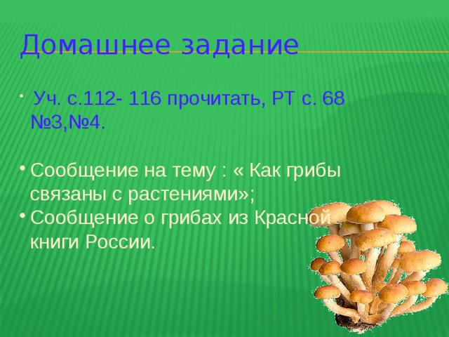 Домашнее задание  Уч. с.112- 116 прочитать, РТ с. 68 №3,№4. Сообщение на тему : « Как грибы связаны с растениями»; Сообщение о грибах из Красной книги России. 