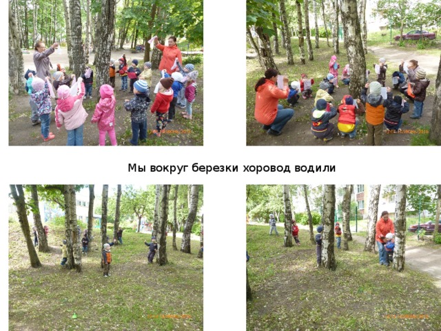 Песня мы вокруг березки. Хоровод вокруг березы. мы вокруг березки хороводом встали. хоровод вокруг березки картинки. мы вокруг березки хороводом встали ноты.