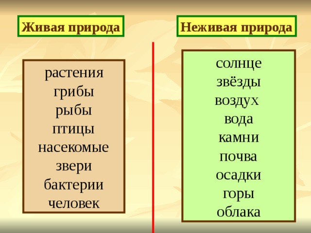 Живая природа Неживая природа солнце звёзды воздух вода камни почва осадки горы облака растения грибы рыбы птицы насекомые звери бактерии человек 
