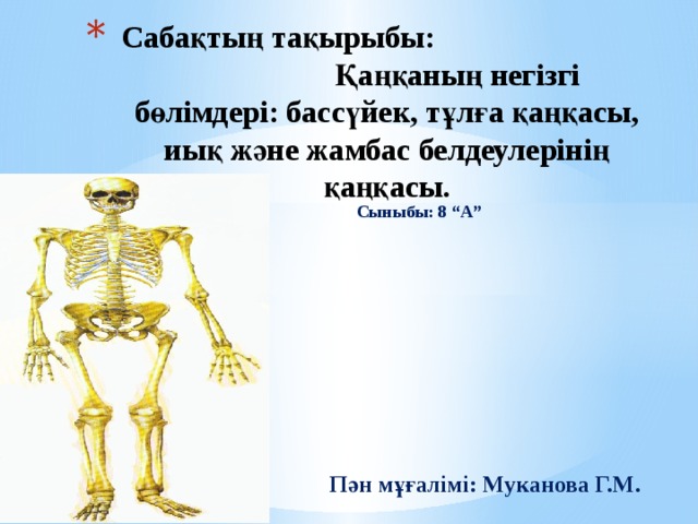 Сабақтың тақырыбы: Қаңқаның негізгі бөлімдері: бассүйек, тұлға қаңқасы, иық және жамбас белдеулерінің қаңқасы. Сыныбы: 8 “А”   Пән мұғалімі: Муканова Г.М. 