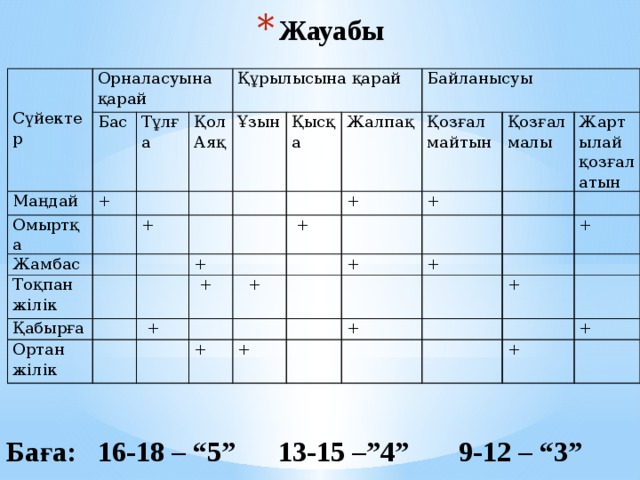 Жауабы       Орналасуына қарай Сүйектер Бас Маңдай Омыртқа +  Тұлға   Жамбас   Құрылысына қарай Қол Тоқпан жілік Ұзын   Аяқ + Қабырға     Қысқа Ортан жілік Жалпақ       Байланысуы +     Қозғалмайтын  +   +    + +  +    +     Қозғалмалы     + Жартылай қозғалатын +       +       +   +   +       +        + +   Баға: 16-18 – “5” 13-15 –”4” 9-12 – “3” 