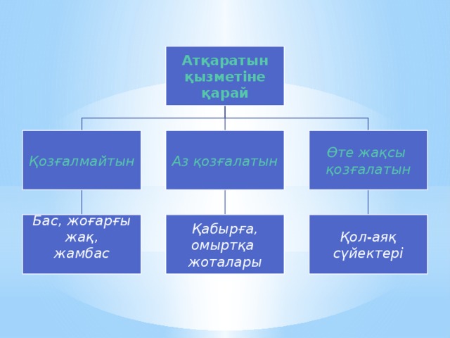 Атқаратын қызметіне қарай Аз қозғалатын Қозғалмайтын Өте жақсы қозғалатын Бас, жоғарғы жақ, Қабырға, Қол-аяқ сүйектері омыртқа жамбас жоталары  