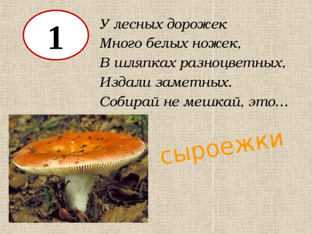 сыроежки 1 У лесных дорожек Много белых ножек, В шляпках разноцветных, Издали заметных. Собирай не мешкай, это… 