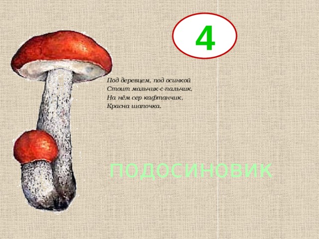 4 Под деревцем, под осинкой Стоит мальчик-с-пальчик, На нём сер кафтанчик, Красна шапочка. подосиновик 