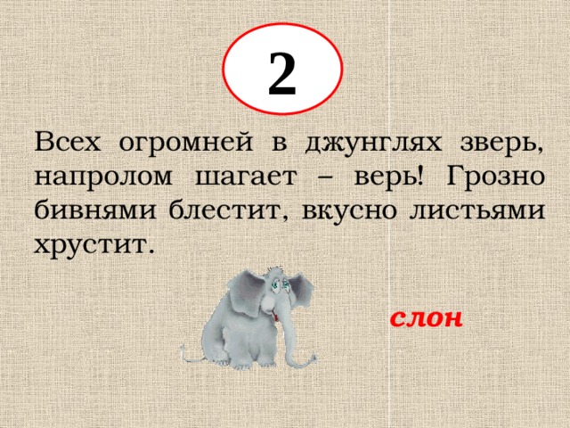 2 Всех огромней в джунглях зверь, напролом шагает – верь! Грозно бивнями блестит, вкусно листьями хрустит. слон 