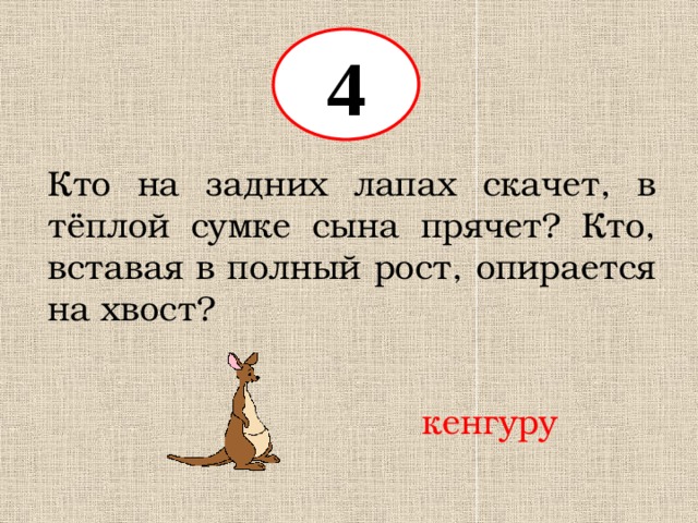 4 Кто на задних лапах скачет, в тёплой сумке сына прячет? Кто, вставая в полный рост, опирается на хвост? кенгуру 