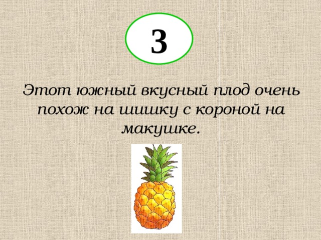 3 Этот южный вкусный плод очень похож на шишку с короной на макушке. 