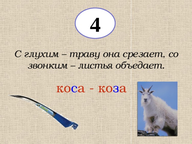 4 С глухим – траву она срезает, со звонким – листья объедает. ко с а - ко з а 