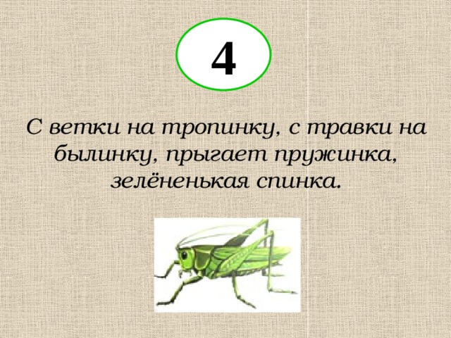 4 С ветки на тропинку, с травки на былинку, прыгает пружинка, зелёненькая спинка. 