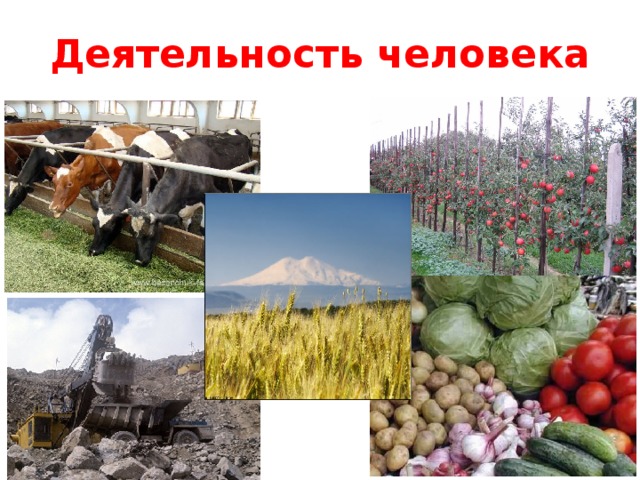 Деятельность человека 