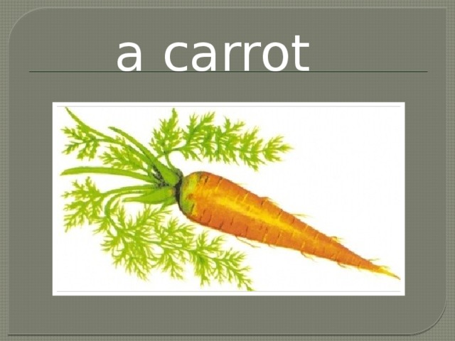 a carrot 