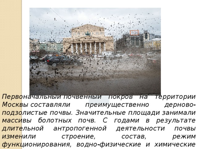 Первоначальный почвенный покров на территории Москвы составляли преимущественно дерново-подзолистые почвы. Значительные площади занимали массивы болотных почв. С годами в результате длительной антропогенной деятельности почвы изменили строение, состав, режим функционирования, водно-физические и химические свойства. 