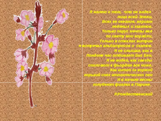   Я жалею о том,  что не видел  лица всей Земли,                          Всех ее океанов, вершин ледяных и закатов.                               Только парус мечты вел по свету мои корабли,                               Только в стеклах витрин я встречал альбатросов и  скатов.                                       Я не слышал, как в Лондоне час отбивает Биг Бен,                                       Я не видел, как звезды сползают к фьордам все ниже,                                       Как кипит за кормой горький снег атлантических пен                                     И в начале весны голубеют фиалки в Париже.                                             Р.Рождественский