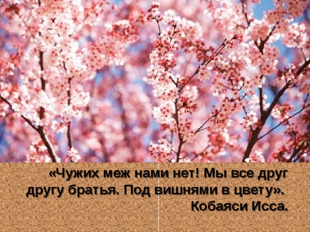 «Чужих меж нами нет! Мы все друг другу братья. Под вишнями в цвету».  Кобаяси Исса.