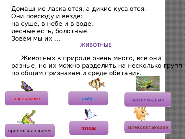 Введите верный ответ какие списки изображены на картинке млекопитающие в природе