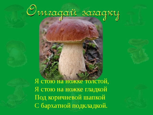 Стой толстой. Я стою на ножке толстой под коричневою шапкой с бархатной подкладкой. Я стою на ножке толстой я стою на ножке гладкой. Загадка я стою на ножке тонкой. . Я стою на ножке тонкой ножке гладкой под коричневою шапкой.