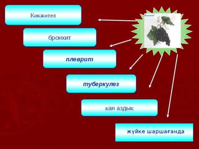 Көкжөтел бронхит плеврит туберкулез қан аздық  жүйке шаршағанда 
