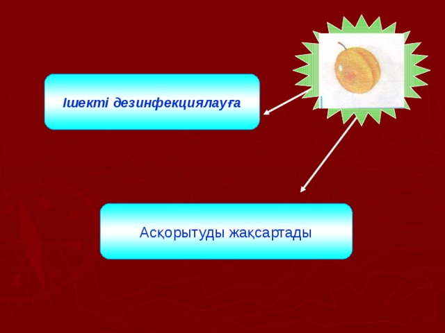 Ішекті дезинфекциялауға Асқорытуды жақсартады 
