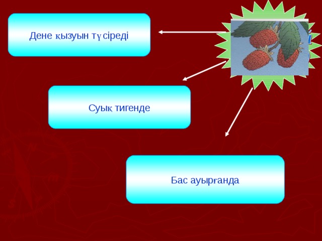 Дене қызуын түсіреді Суық тигенде Бас ауырғанда 