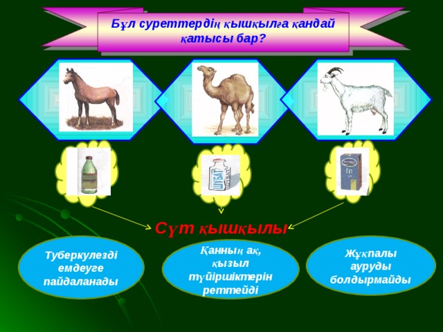 Бұл суреттердің қышқылға қандай қатысы бар? Сүт қышқылы Туберкулезді емдеуге пайдаланады Жұқпалы ауруды болдырмайды Қанның ақ, қызыл түйіршіктерін реттейді 