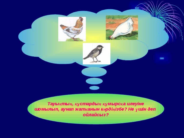 Тауықтың, құстардың құмырсқа илеуіне шомылып, аунап жатқанын көрдіңізбе? Не үшін деп ойлайсыз? 