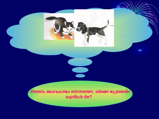 Иттің мысықты тістелеп, ойнап жүргенін көрдіңіз бе? 