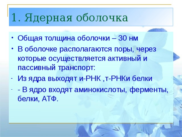 1. Ядерная оболочка Общая толщина оболочки – 30 нм В оболочке располагаются поры, через которые осуществляется активный и пассивный транспорт: Из ядра выходят и-РНК ,т-РНКи белки - В ядро входят аминокислоты, ферменты, белки, АТФ. 