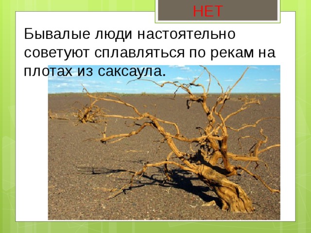 НЕТ Бывалые люди настоятельно советуют сплавляться по рекам на плотах из саксаула. 